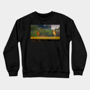 owl Crewneck Sweatshirt